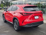 2025 Lexus NX NX 350h Premium