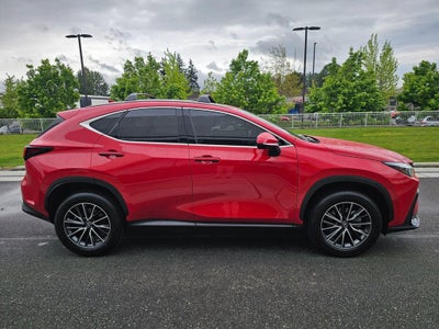 2025 Lexus NX NX 350h Premium